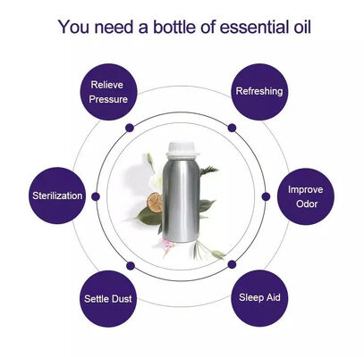 Commercial Hotel Olfactory Marketing Nebulizing Scent Aroma Machine Oils Waterlessaromatherapy Diffuser Essential Oil