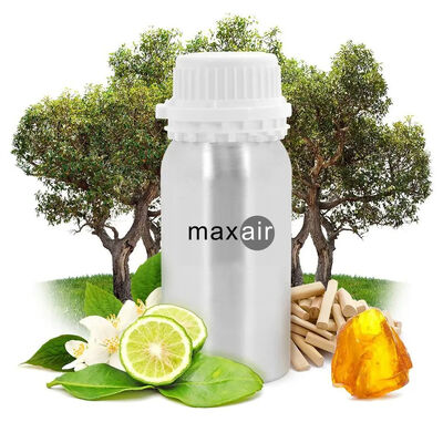 Wholesale Park Hyatt Commercial Electric Scent Diffuser Fragrance Oil Diffuser